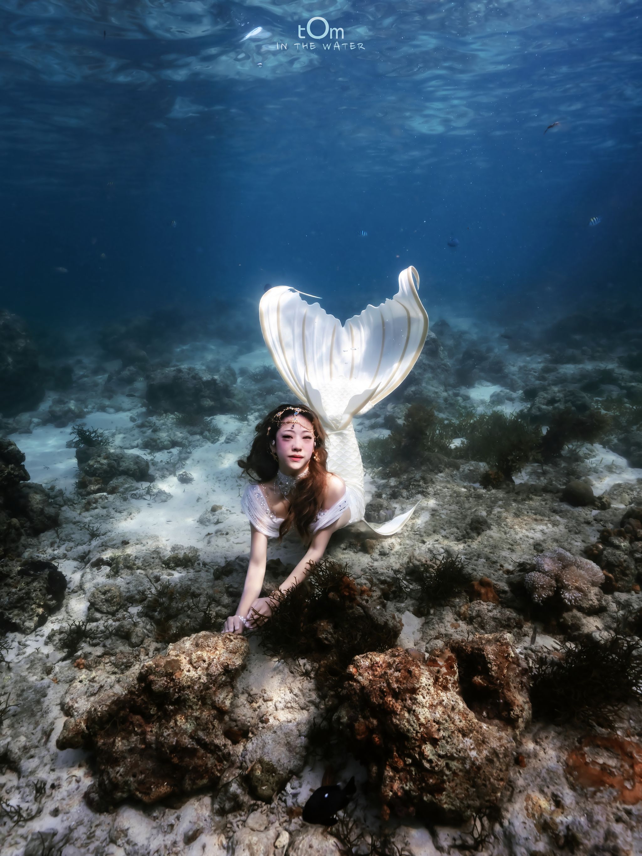 Mermaid in Cebu