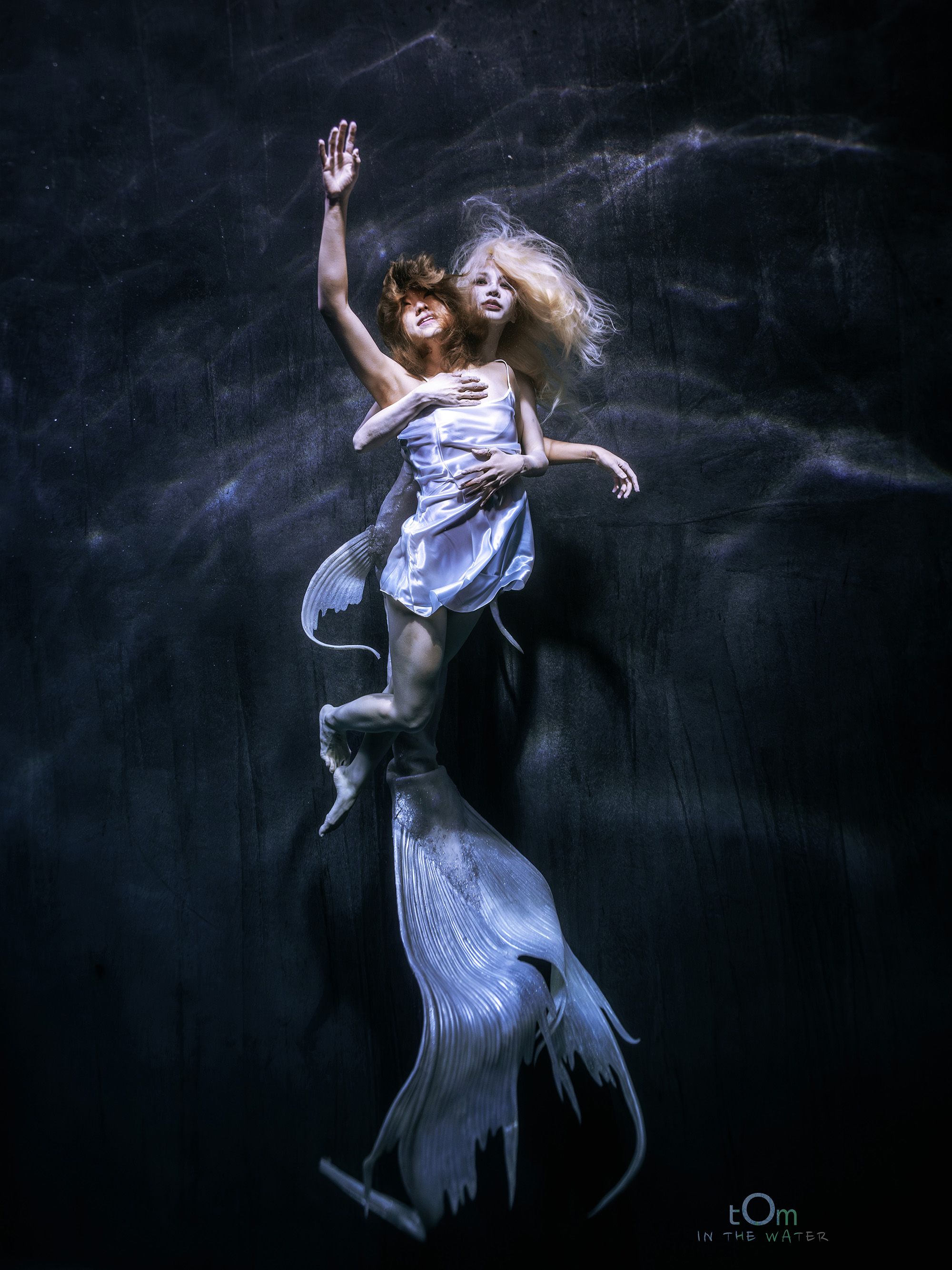 TEMPTATION OF SIREN, 2026